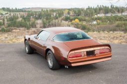
										1978 Pontiac Firebird 400 Trans AM V8 full									