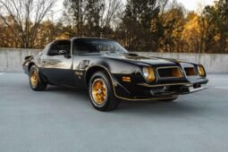 1976 Pontiac Firebird Trans AM Special Edition
