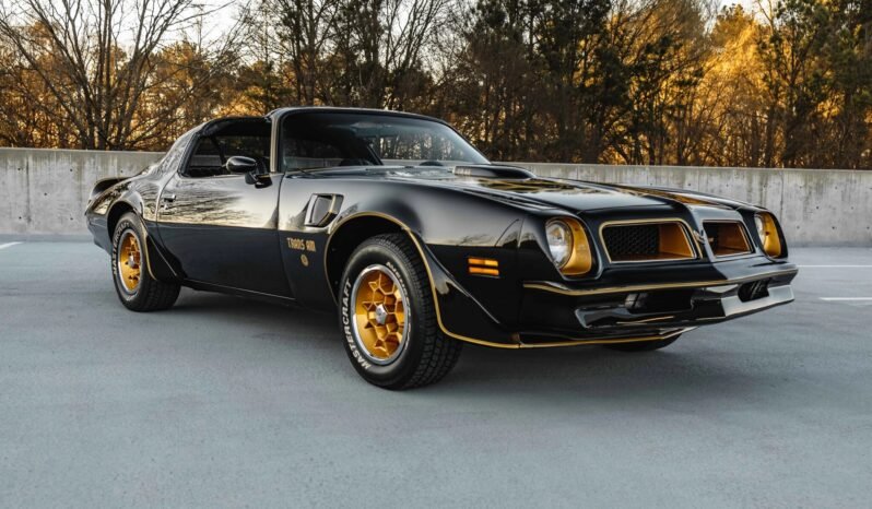 
								1976 Pontiac Firebird Trans AM Special Edition full									