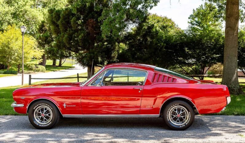 
								1966 Ford Mustang Fastback full									