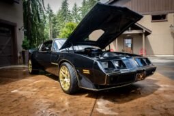 1979 Pontiac Firebird Trans AM