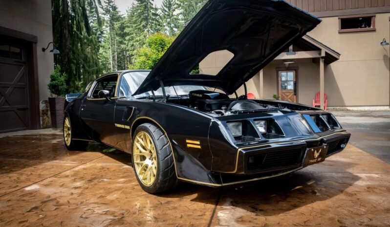 
								1979 Pontiac Firebird Trans AM full									