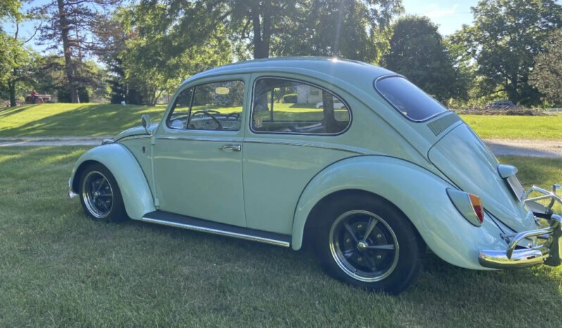 
								1966 Volkswagen Beetle Blue full									