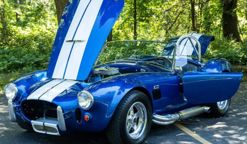 
								1966 Shelby Cobra Replica V8 full									