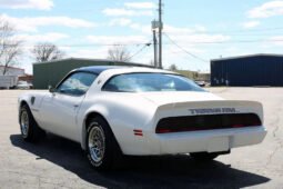 1979 Pontiac Firebird Trans AM WS6