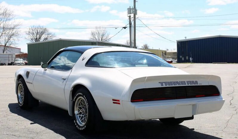 
								1979 Pontiac Firebird Trans AM WS6 full									