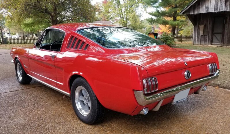 
								1965 Ford Mustang Fastback full									