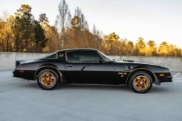 1976 Pontiac Firebird Trans AM Special Edition