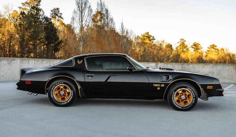 
								1976 Pontiac Firebird Trans AM Special Edition full									