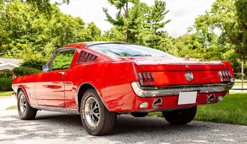 
								1966 Ford Mustang Fastback full									
