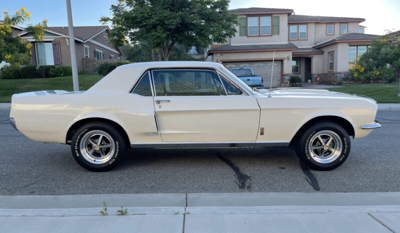 
								1967 Ford Mustang Coupe GT500-style full									
