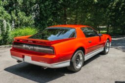 1988 Pontiac Firebird Trans AM
