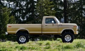 1979 Ford F-150 Ranger Regular Cab V8