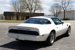 1979 Pontiac Firebird Trans AM WS6