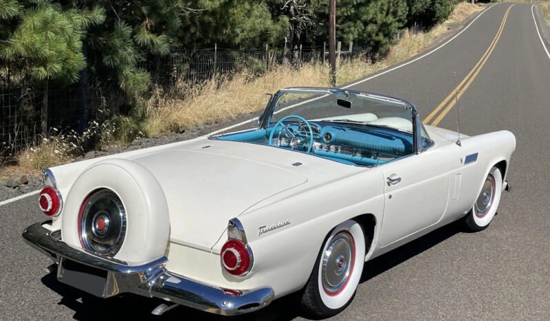
								1956 Ford Thunderbird V8 White full									