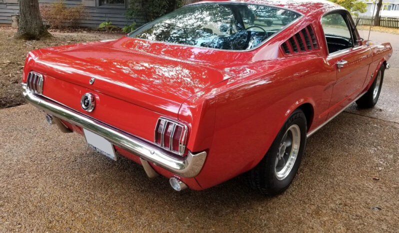 
								1965 Ford Mustang Fastback full									