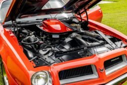 
										1974 Pontiac Firebird Trans AM V8 full									