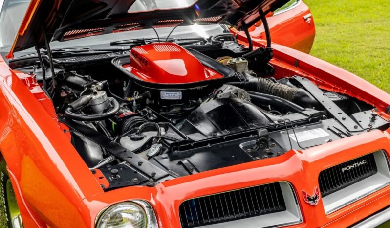 
								1974 Pontiac Firebird Trans AM V8 full									