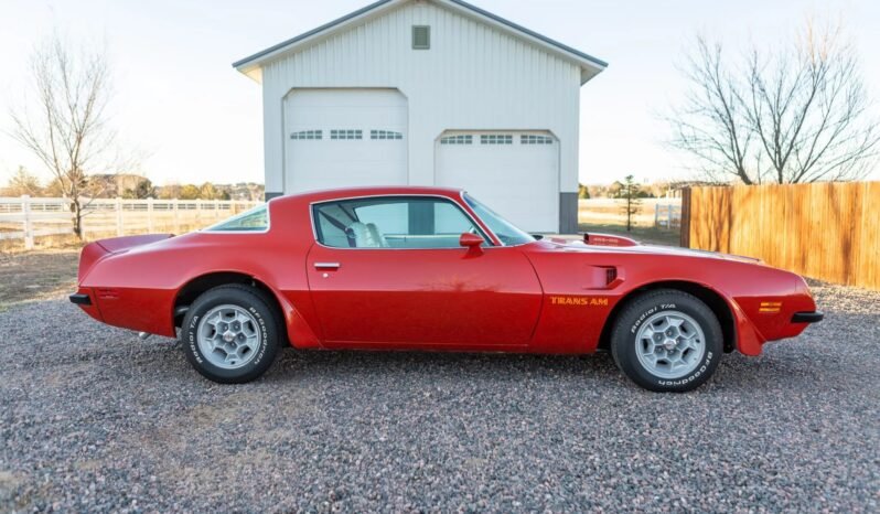 
								1975 Pontiac Firebird Trans AM full									