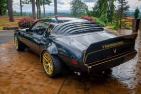 1979 Pontiac Firebird Trans AM