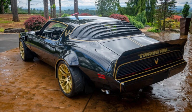 
								1979 Pontiac Firebird Trans AM full									