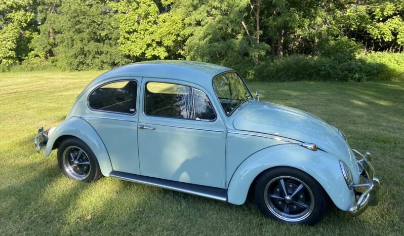 
								1966 Volkswagen Beetle Blue full									