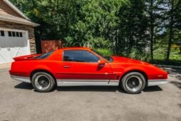 
										1988 Pontiac Firebird Trans AM full									