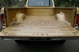 1979 Ford F-150 Ranger Regular Cab V8