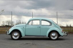 1965 Volkswagen Beetle