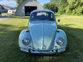 1966 Volkswagen Beetle Blue