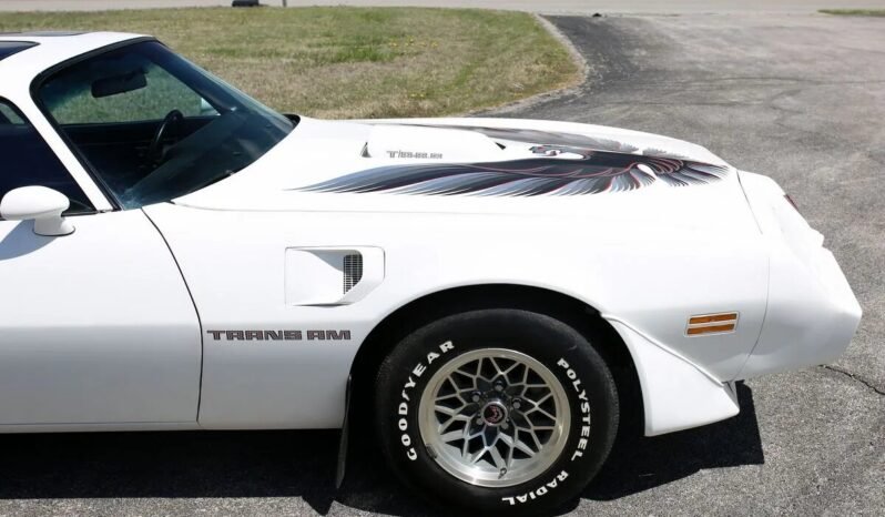 
								1979 Pontiac Firebird Trans AM WS6 full									