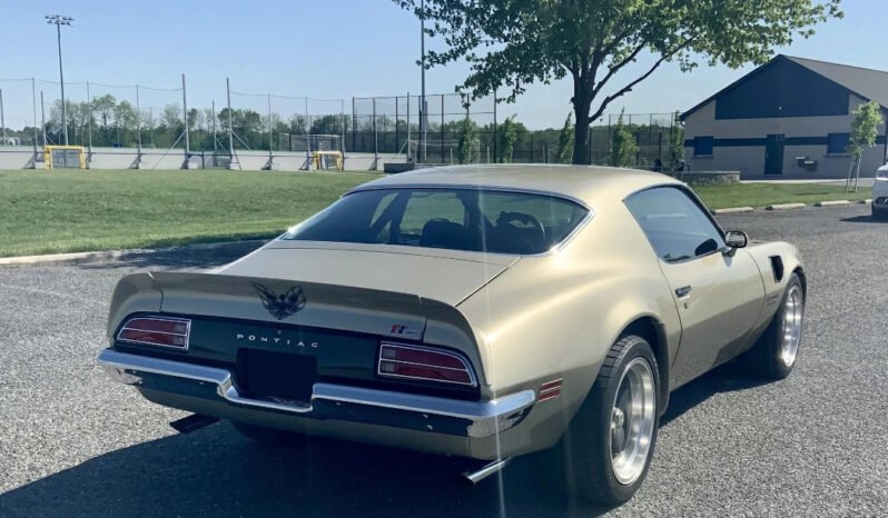 
								1973 Pontiac Firebird Formula full									