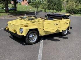 1974 Volkswagen Thing