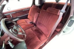 
										1987 Buick Regal Turbo V6 full									