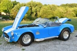 
										1965 Unique Motorcars Shelby Cobra V8 full									