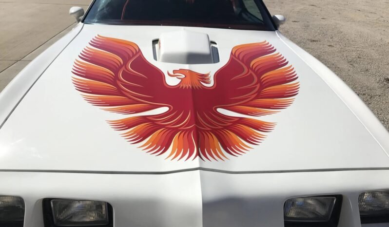 
								1979 Pontiac Firebird Trans AM WS6 3-Speed full									