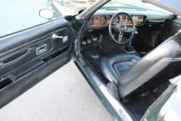 
										1973 Pontiac Firebird Formula full									