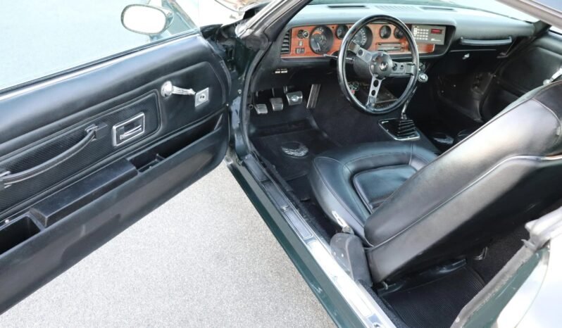 
								1973 Pontiac Firebird Formula full									