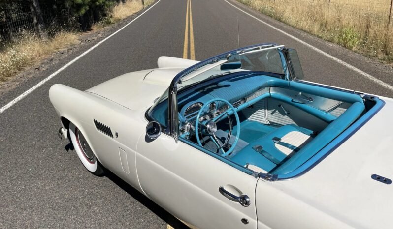 
								1956 Ford Thunderbird V8 White full									