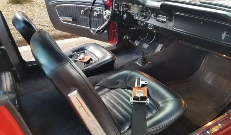 
								1965 Ford Mustang Fastback full									