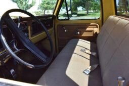 
										1973 Ford F-250 Ranger XLT V8 full									