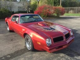 1976 Pontiac Firebird Trans AM