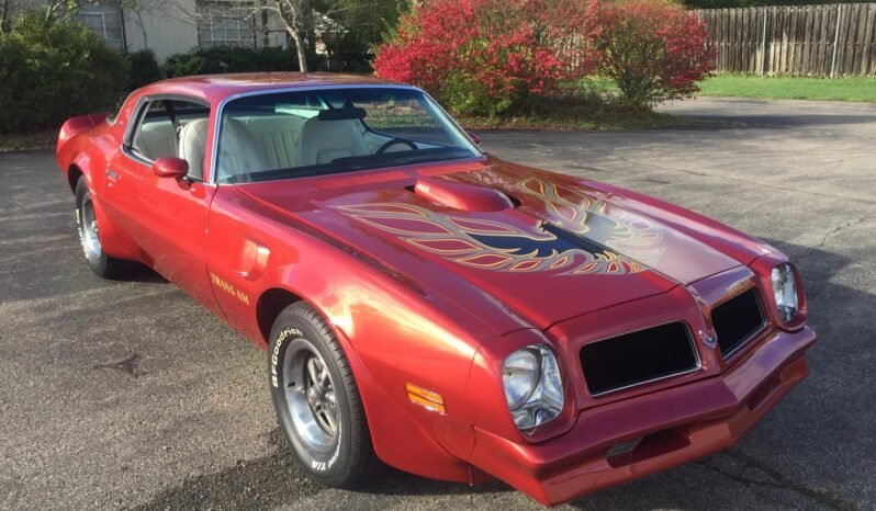 
								1976 Pontiac Firebird Trans AM full									
