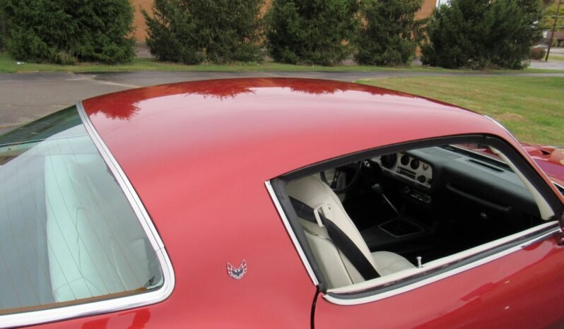 
								1976 Pontiac Firebird Trans AM full									