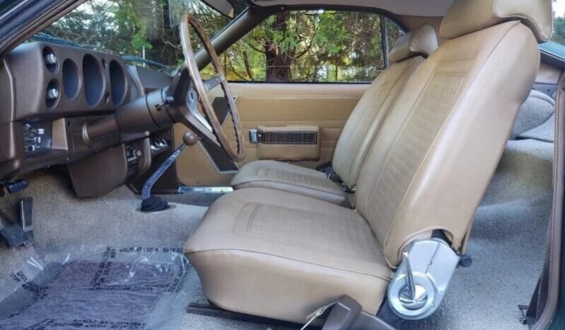 
								1969 AMC AMX full									