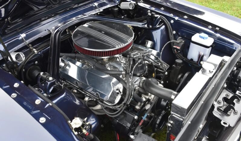 
								1966 Ford Mustang Fastback Kona Blue full									