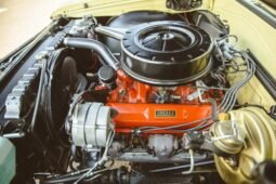 
										1965 Chevrolet Chevelle Malibu 327 V8 full									