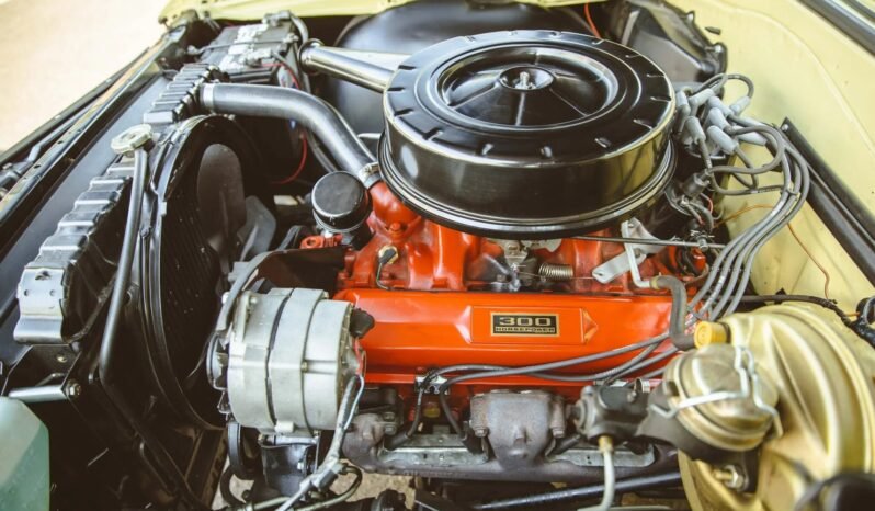 
								1965 Chevrolet Chevelle Malibu 327 V8 full									