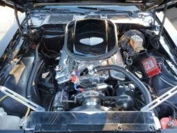 
										1977 Pontiac Firebird Trans AM SE V8 full									