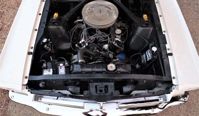 
								1965 Ford Mustang C-Code V8 full									